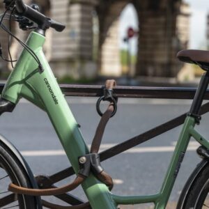 1806/140 slow green Infinity Loop - Fahrradschloss / Kettenschloss Infinity Loop 1806 mit Double-Loop-Funktion